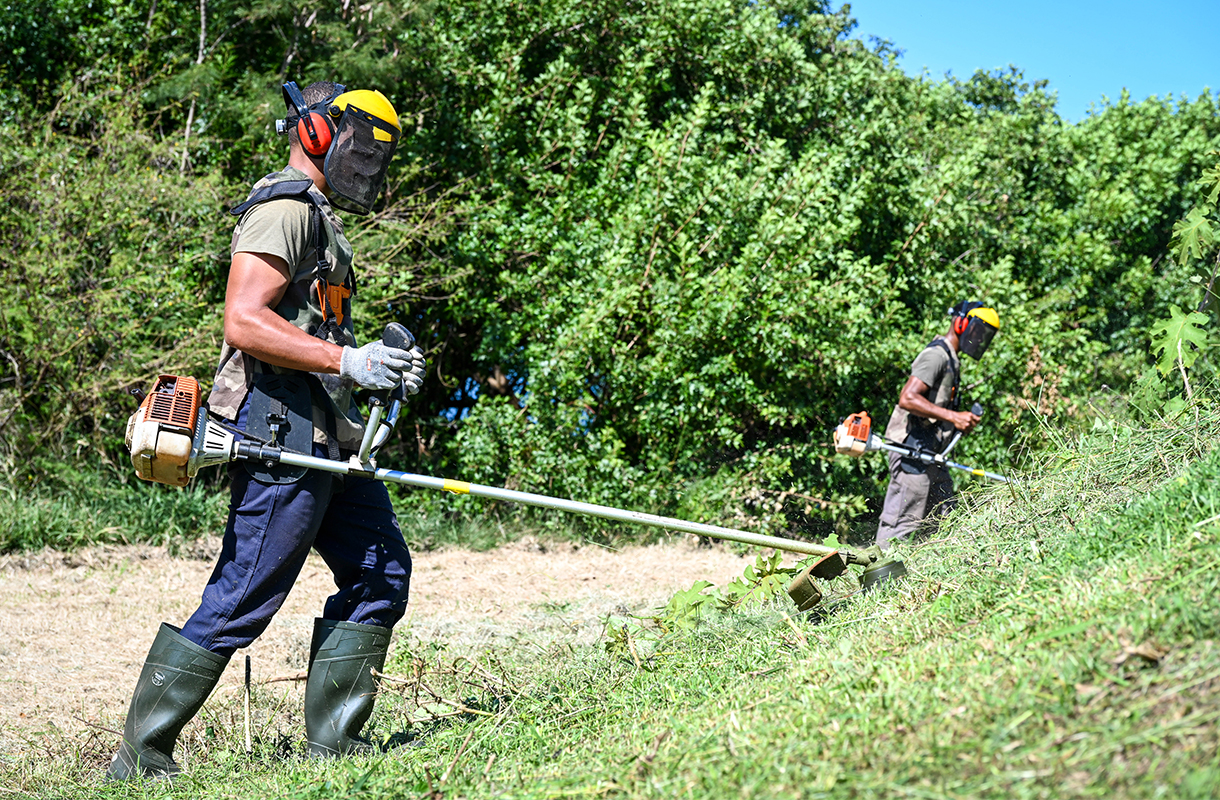 Formation agent d'entretien espaces verts Nouvelle-Calédonie